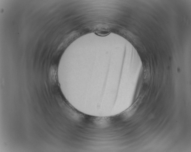 X0000067520142200605051904