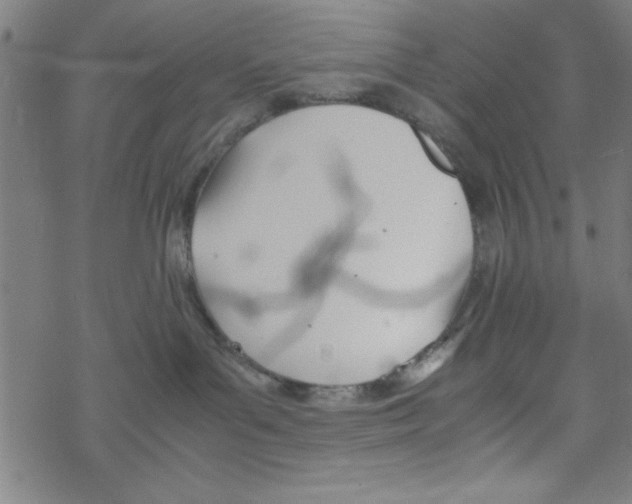 X0000067520143200605051904