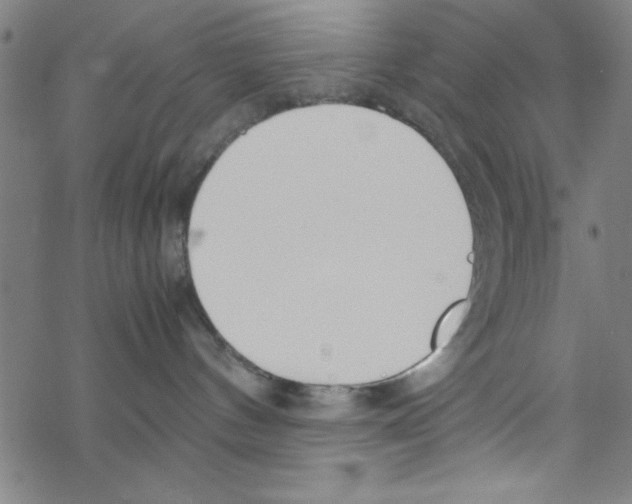 X0000067520144200605051904