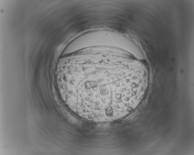 X0000067520145200605051903