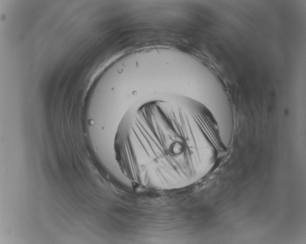 X0000067520146200605051903