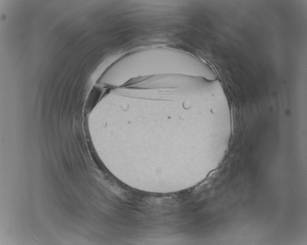 X0000067520147200605051903