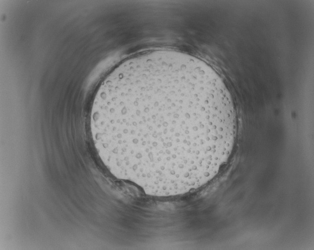 X0000067520149200605051903