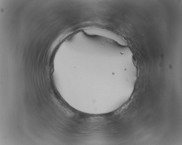 X0000067520150200605051903