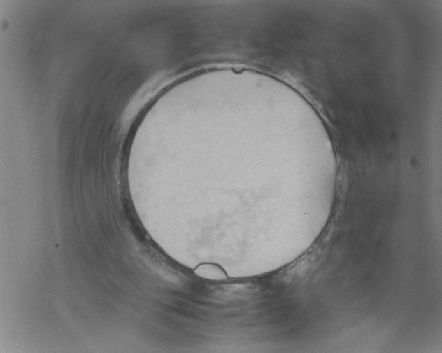 X0000067520151200605051903