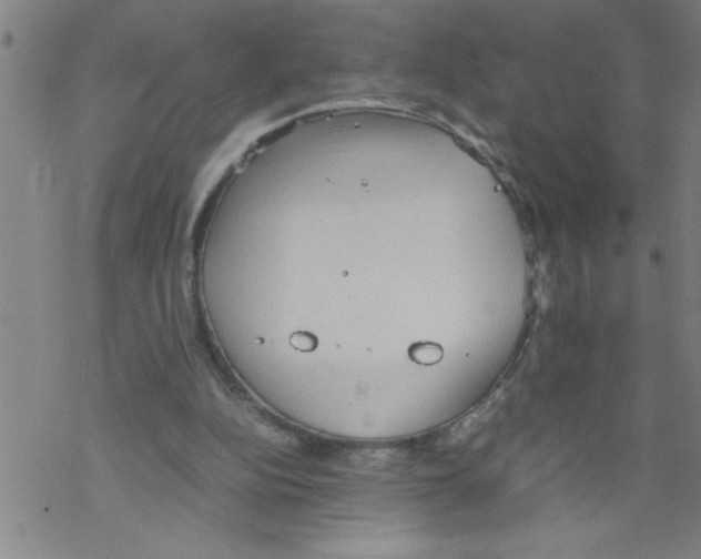 X0000067520152200605051903