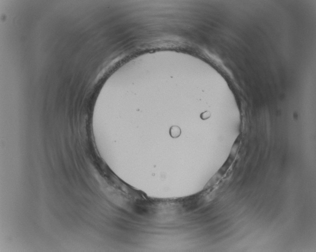 X0000067520154200605051903