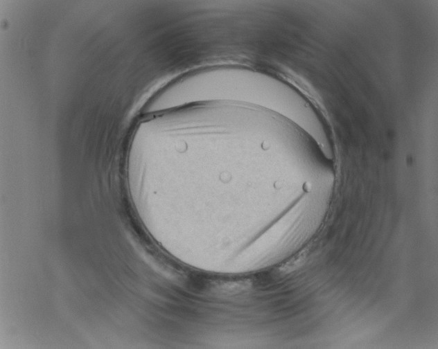 X0000067520155200605051903