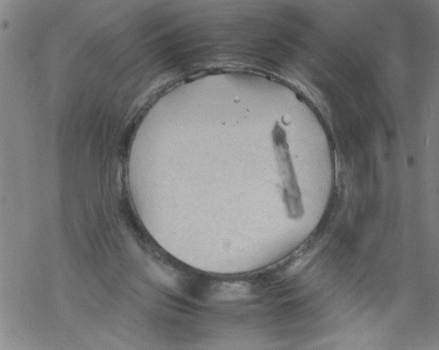 X0000067520157200605051903