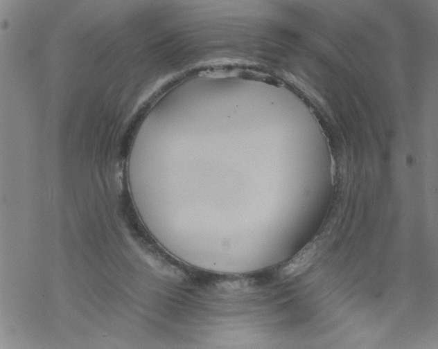 X0000067520160200605051903