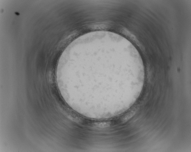 X0000067520161200605051903