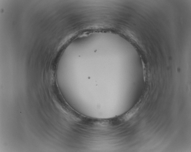 X0000067520164200605051903