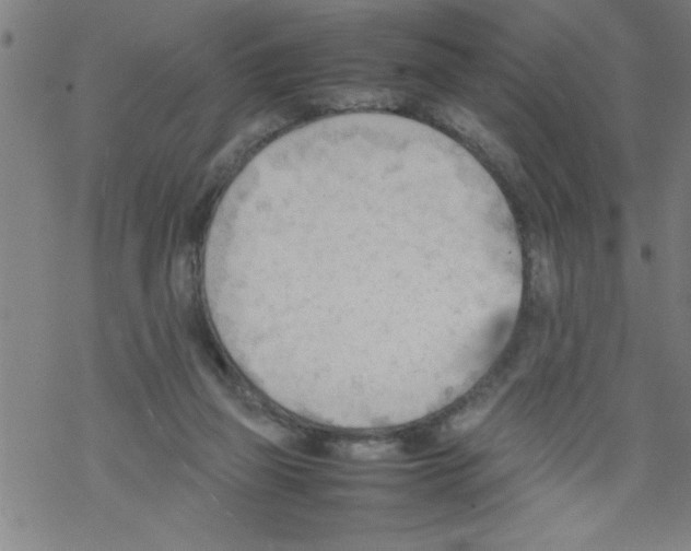 X0000067520165200605051903