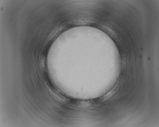 X0000067520166200605051903