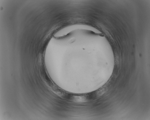 X0000067520167200605051903