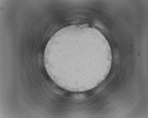 X0000067520169200605051903