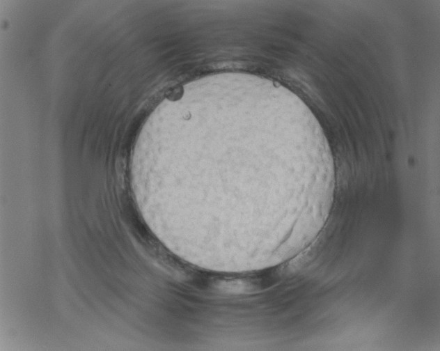 X0000067520171200605051903