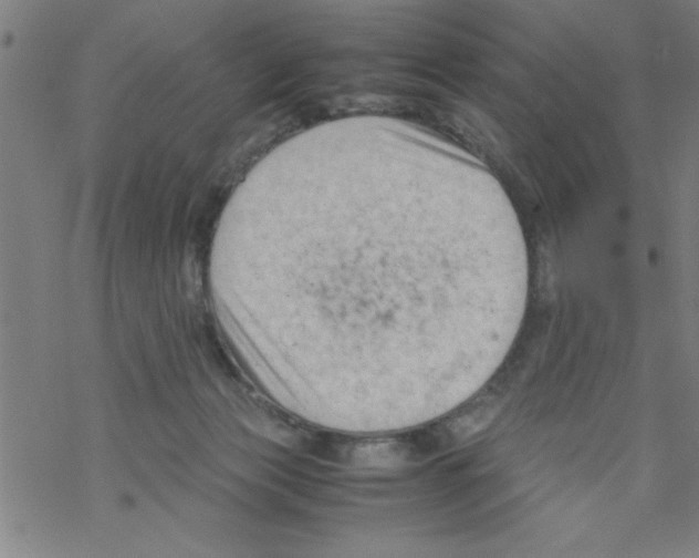 X0000067520173200605051903