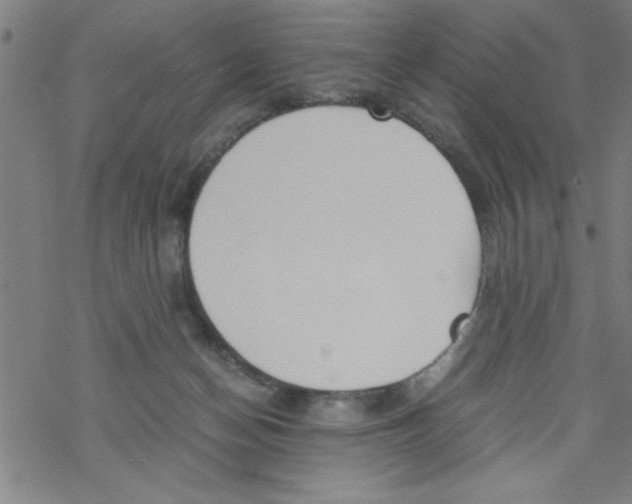 X0000067520174200605051903