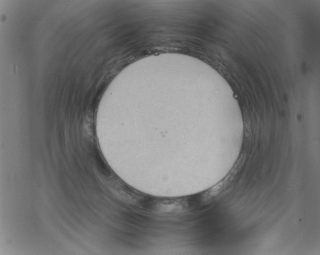 X0000067520175200605051903