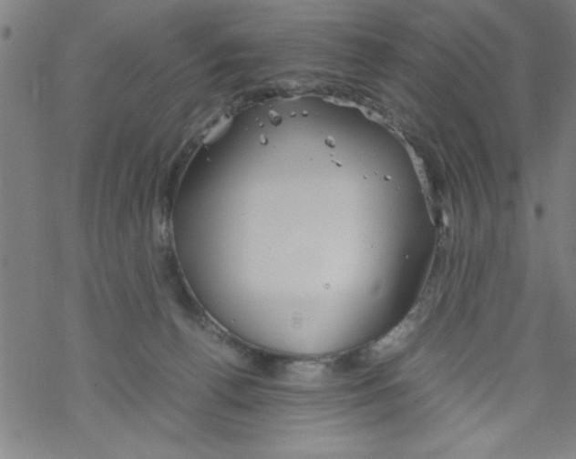 X0000067520176200605051904