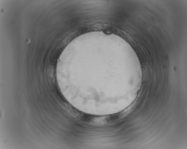 X0000067520178200605051904