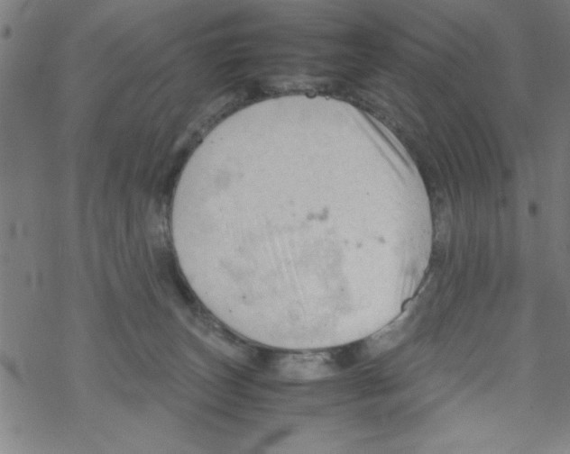 X0000067520179200605051904