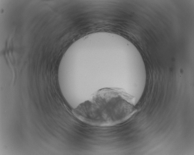 X0000067520181200605051904