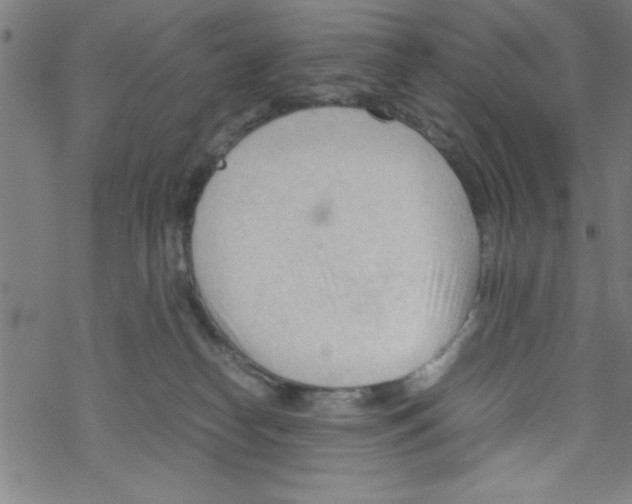 X0000067520182200605051904