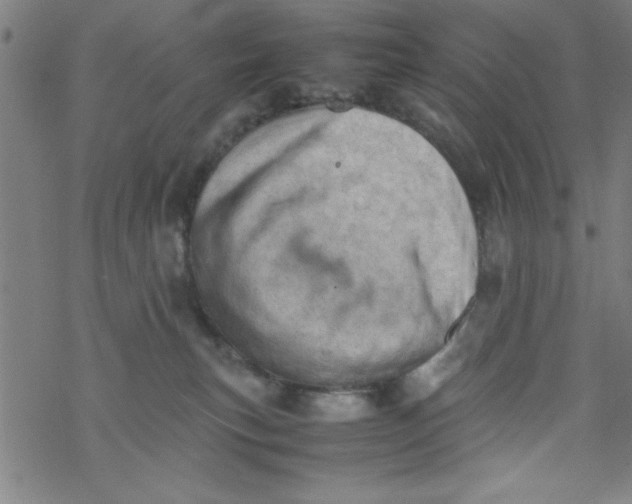 X0000067520183200605051904