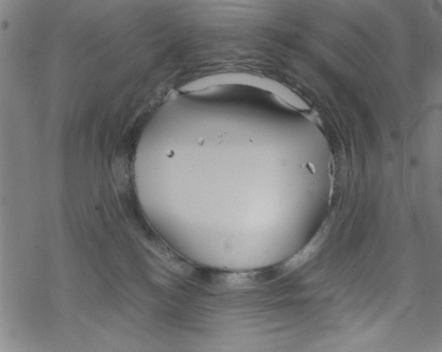 X0000067520184200605051904