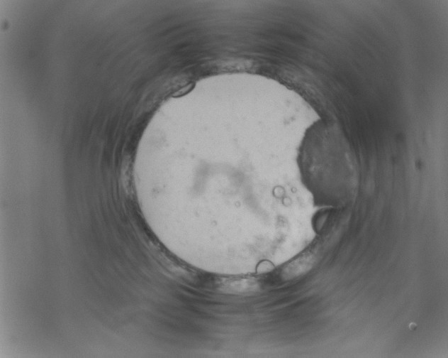 X0000067520185200605051904