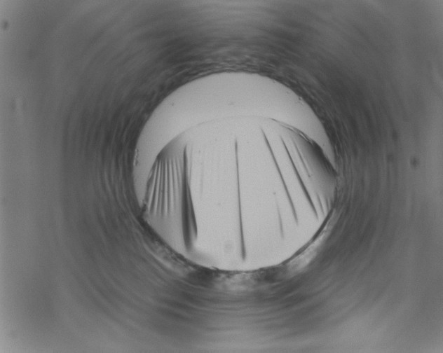 X0000067520186200605051904