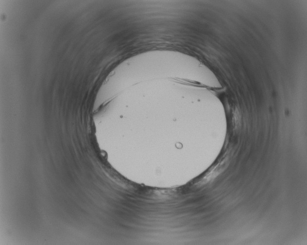 X0000067520188200605051904