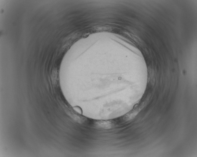 X0000067520189200605051904