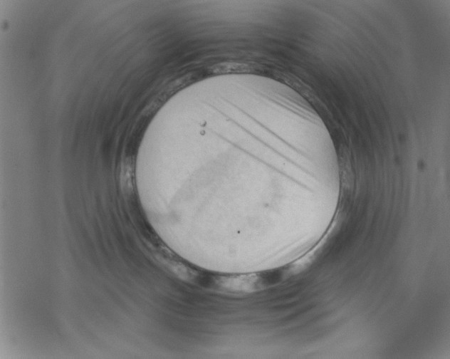 X0000067520191200605051904