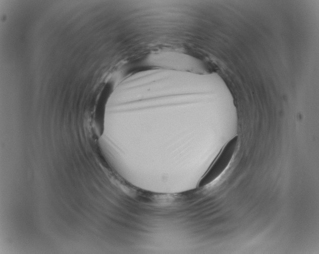 X0000067520192200605051904