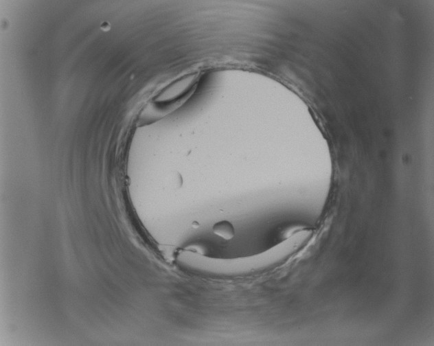 X0000067520193200605051903