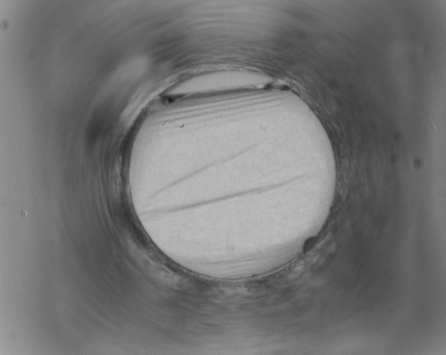 X0000067520194200605051903