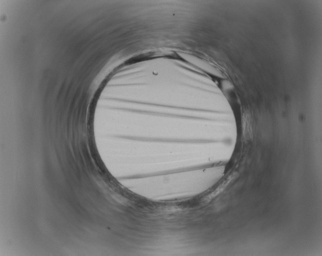 X0000067520195200605051903