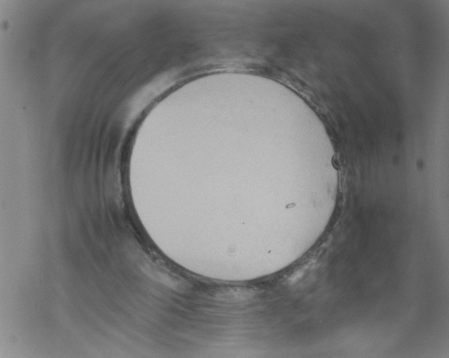 X0000067520198200605051903