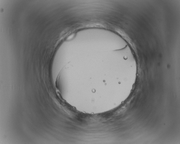 X0000067520201200605051903