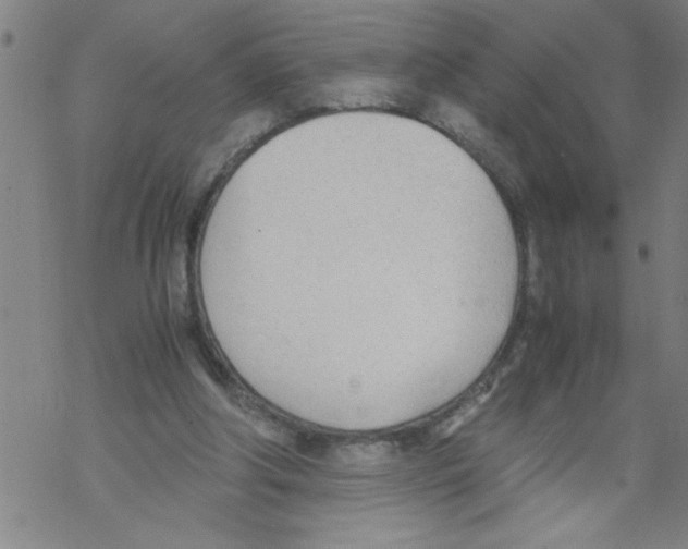 X0000067520202200605051903