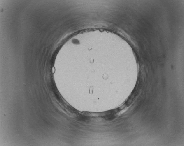 X0000067520203200605051903