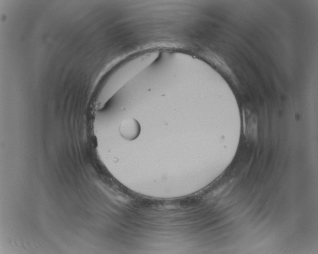 X0000067520204200605051903