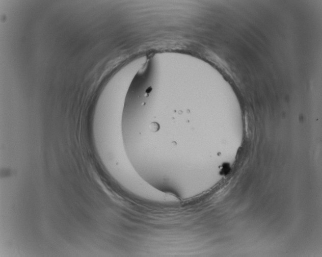 X0000067520205200605051903