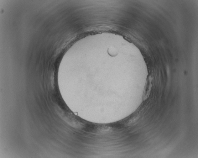 X0000067520206200605051903