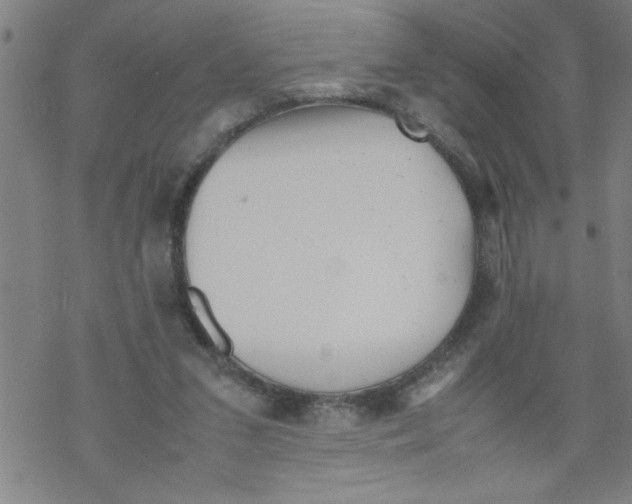 X0000067520207200605051903