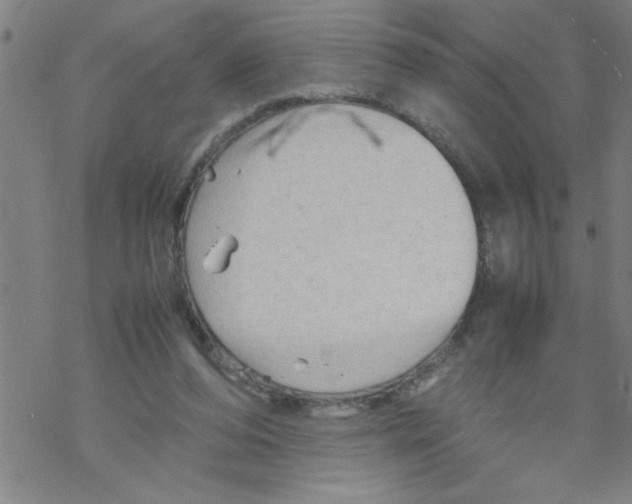 X0000067520208200605051903