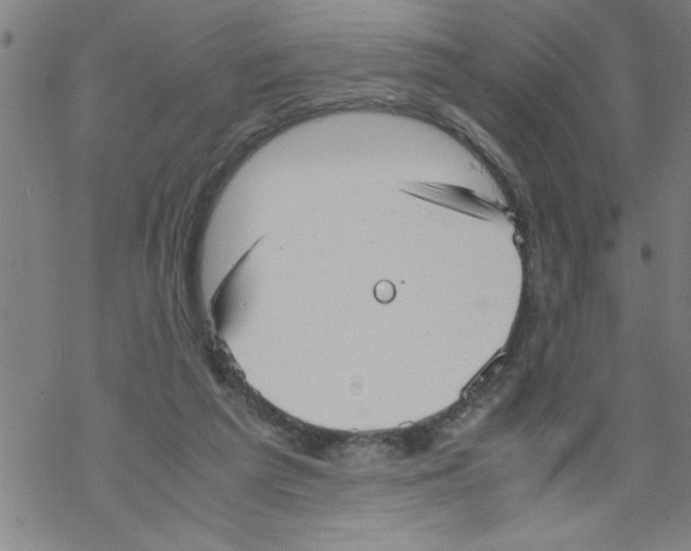 X0000067520209200605051903